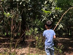 -塘栖枇杷特色园区