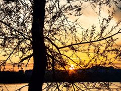 -长春市南湖公园