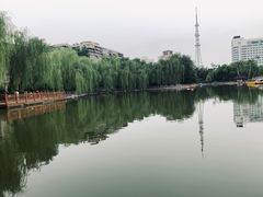 -莲湖公园