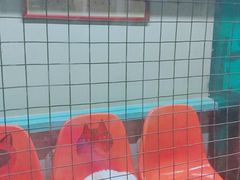 -猫咪博物馆(顶澳仔猫街店)