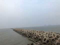 -东疆建设开发纪念公园