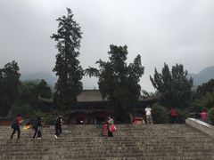 -玉泉院