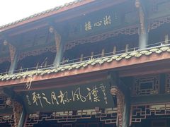 -桂湖森林公园