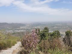 -北京西山国家森林公园