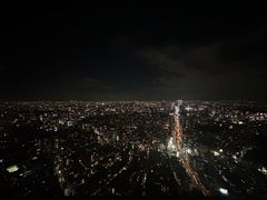 -六本木新城展望台(东京城市景观)
