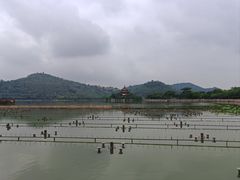-顺峰山公园