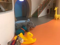 -小门牙好性格托育(北外滩中心)