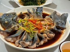 -煲来饱去冷水鱼