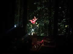 -花马天堂云南餐厅 Lost Heaven(高邮路店)