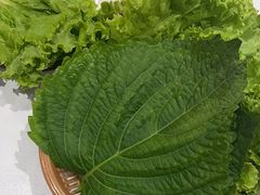 -白山烧烤(文安路万豪店)