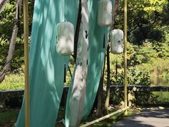 -庐山风景区花径公园