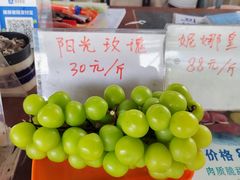 -马陆小张葡萄园农家乐