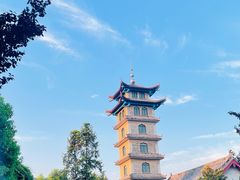 -台儿庄古城