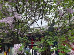 -西安市广仁寺
