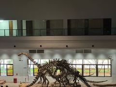 -自贡恐龙博物馆