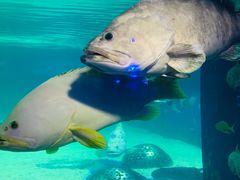 -成都浩海立方海洋公园