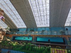 -望儿山温泉水乐园