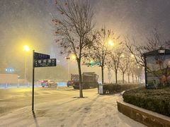 -林海公园