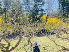 -威海华夏城景区