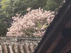-成都杜甫草堂博物馆
