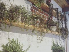 -拌面小当家