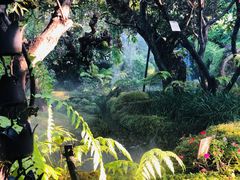 -Chom Cafe and Restaurant