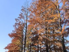-上海大学(宝山校区)