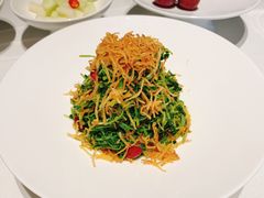 巧拌豆苗-四季民福烤鸭店(外滩外白渡桥店)