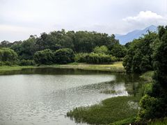 -鲤鱼洲酒店港鲤咖啡厅