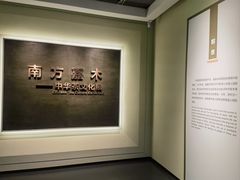 -中国茶叶博物馆(双峰馆区)
