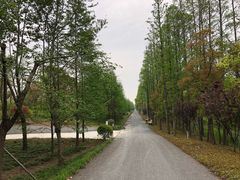 -上海长兴岛郊野公园