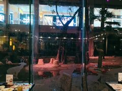 -白虎自助餐厅·真老虎·景观自助餐厅(广州长隆酒店)