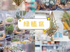 -KKV(深圳kk one 店)