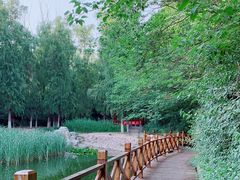 -云岗森林公园