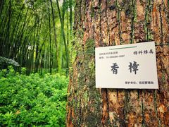 -杭州黄龙洞
