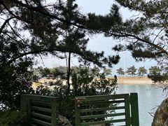 -莫内艺术岛海景咖啡