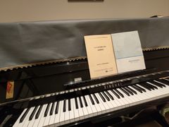 -朗韵钢琴学校(中环金界店)