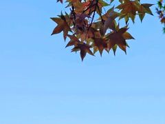 -香山公园
