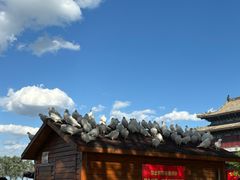 -天津妈祖文化园