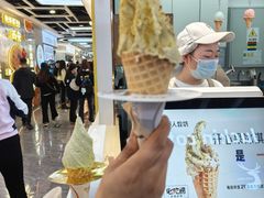 -野人先生现做冰淇淋(西安赛格店)