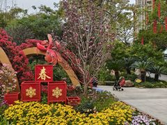 -晓港公园