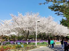 -白塘生态植物园