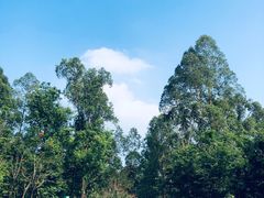 -火炉山森林公园
