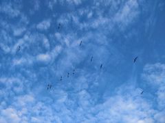 -青岛银沙滩