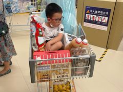 -盒马X会员店(王府井奥莱UP TOWN店)