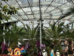-北京植物园-展览温室