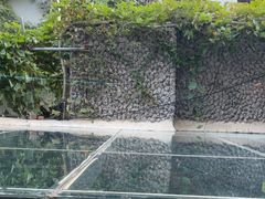 -巴厘龙虾·榜首油焖大虾(洞庭·艺术洋房店)