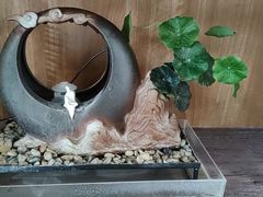 -乐老大耳道·可视采耳·禅洗(柏林爱乐直营店)