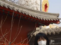 -护国法轮寺