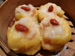 -金鼎轩(方庄天坛店)